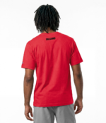Disney x Champion Falcons Red Graphic Tee 2
