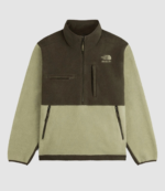 Aimé Leon Dore x The North Face 95 Denali Jacket 1