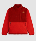 Aimé Leon Dore x The North Face 95 Denali Jacket 2
