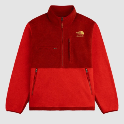 Aimé Leon Dore x The North Face 95 Denali Jacket 2