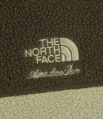 Aimé Leon Dore x The North Face 95 Denali Jacket 5
