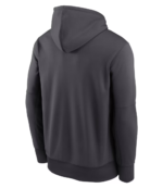 Baltimore Ravens Charcoal Hoodie (1)