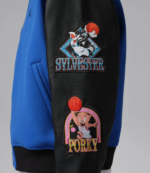 Nike Jordan Flight Space Jam Varsity Jacket (2)